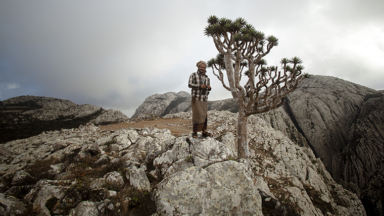 Socotra, una vez y hoy