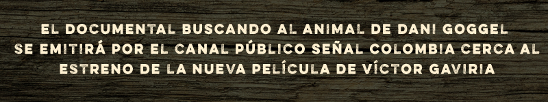 Titulo