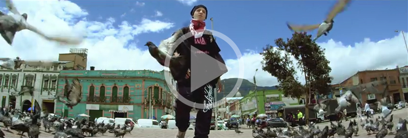 Ver video